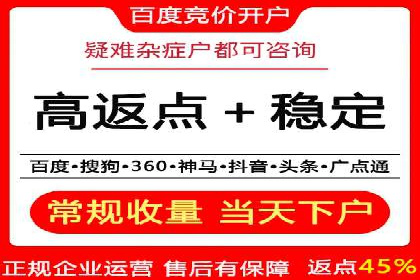 百度竞价排名服务助力旅游行业快速发展